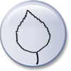 Birke