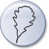 Eiche