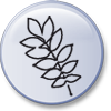 Esche