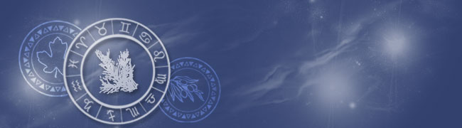 Keltisches Baumhoroskop