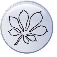 Kastanie