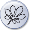 Kastanie