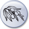 Olivenbaum