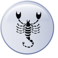 Skorpion