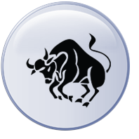 Stier