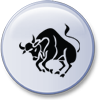 Stier