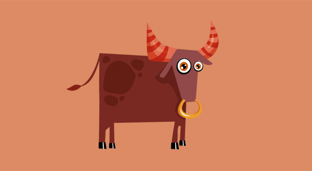 Stier