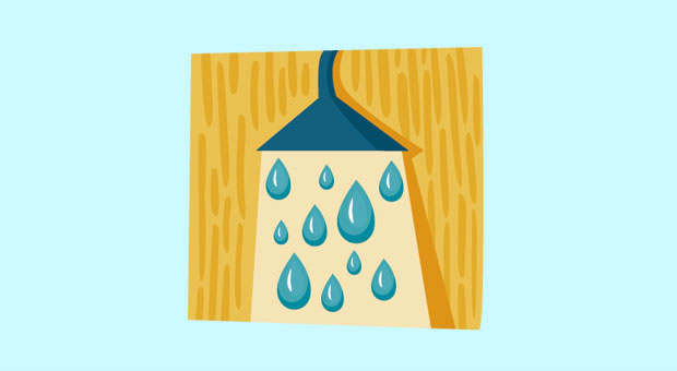 Wassermann